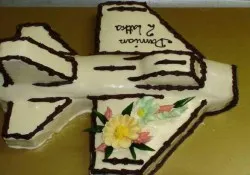 Tort w kształcie samolotu