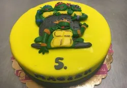 Tort Wojownicze Ż&oacute;łwie Ninja