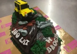Tort w kształcie teren&oacute;wki