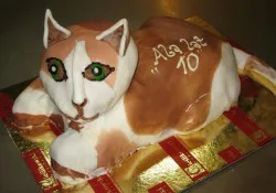 Tort w kształcie kota