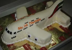 Tort w kształcie samolotu