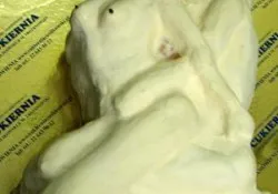 Tort na wiecz&oacute;r kawalerski