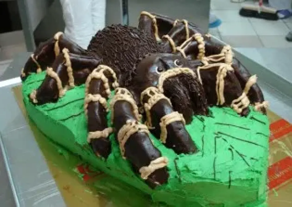 Tort z pająkiem