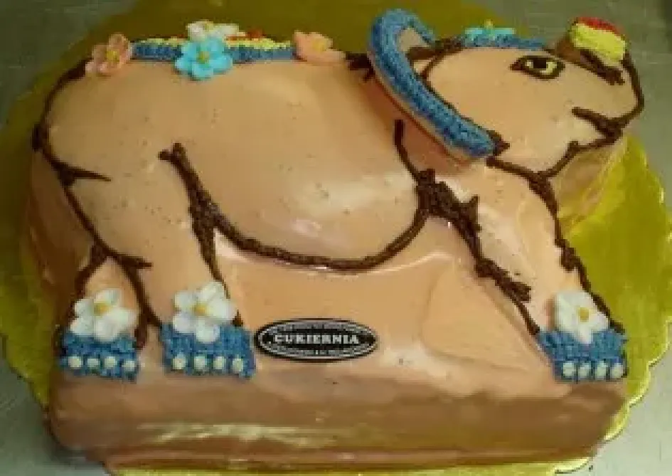 Tort w kształcie świnki