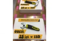 Tort w kształcie narzędzi