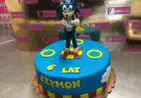 Tort Sonic