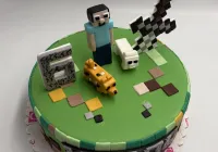 Tort Minecraft