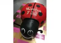 Tort w kształcie biedronki