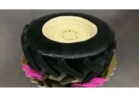 Tort w kształcie koła