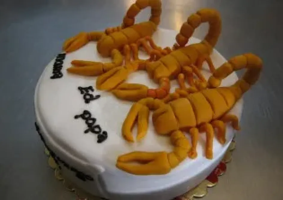 Tort ze skorpionami
